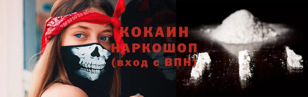 spice Богородск