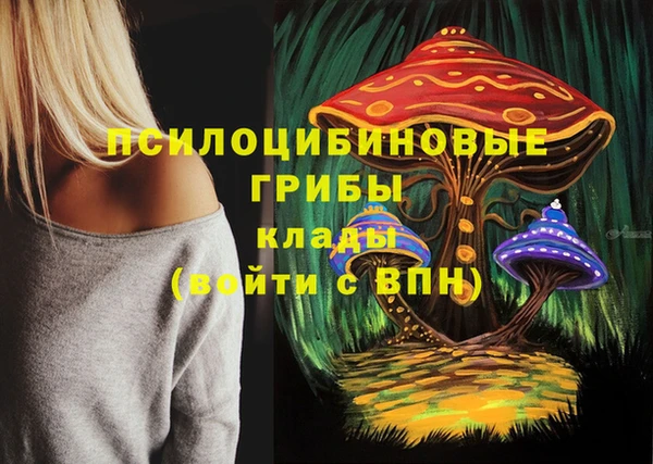 spice Богородск
