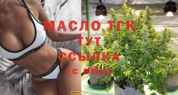 spice Богородск